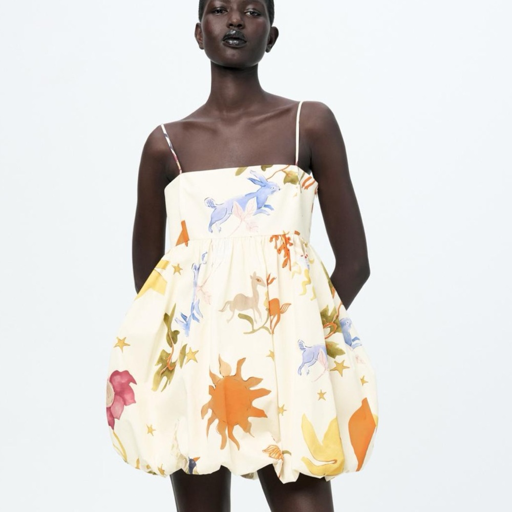 Zara Dress BNWT